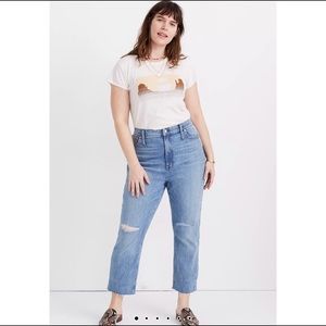 NWOT HR Slim Boyjean in Elkhart Wash size28